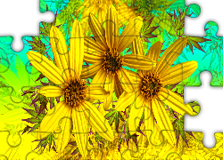 Grafika, Kwiaty, Żółte