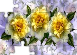 Róże, Żółte, Grafika