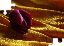 Leżący, Tulipan, Żółty, Materiał