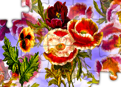 Kwiaty, Tulipan, Maki, Grafika