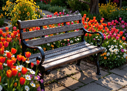 Ogród, Ławka, Kwiaty, Tulipany, Stokrotki