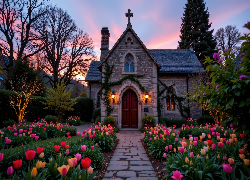 Kościół, Tulipany, Ścieżka, Drzewa