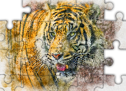 Tygrys, Głowa, Grafika