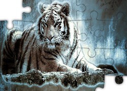 Leżący, Tygrys, Paintography