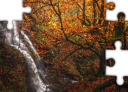 Wodospad, Uguna waterfall, Las, Jesień, Drzewa, Strumień, Park Narodowy Gorbea, Kraj Basków, Hiszpania