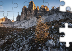 Drzewo, Kamienie, Góry, Tre Cime di Lavaredo, Dolomity, Włochy