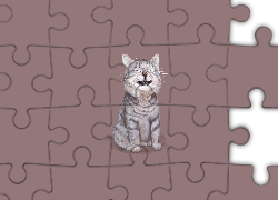 Kot, Grafika 2D