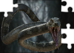 Wąż,Grafika 2D