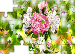 Kwiaty, Piwonie, Wazon, Grafika 2D