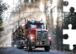Ciężarówka, Western Star 49X, Kłody, Drewna, Las, Droga, Przebijające światło