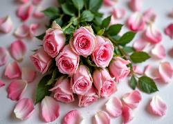 Wiązanka, Różowe, Róże, Płatki