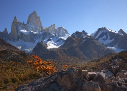 Jesień, Góry, Andy, Skały, Kamienie, Drzewo, Patagonia, Argentyna