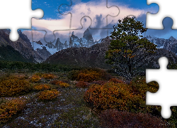 Góry, Drzewo, Pożółkłe, Rośliny, Park Narodowy Los Glaciares, Patagonia, Argentyna