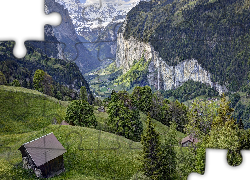 Szwajcaria, Góry Alpy Berneńskie, Dolina Lauterbrunnental, Drzewa, Domy