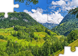 Góry, Drzewa, Zielone, Lasy