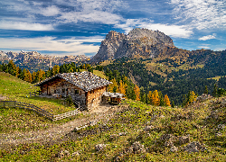 Włochy, Południowy Tyrol, Góry, Dolomity, Sassolungo, Drzewa, Dom, Ogrodzenie, Kamienie