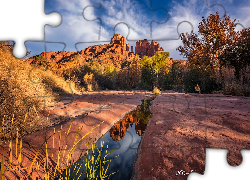 Skały, Kałuża, Drzewa, Formacja Cathedral Rock, Sedona, Arizona, Stany Zjednoczone