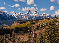 Góry, Absaroka Range, Szczyty, Drzewa, Wzgórza, Wyoming, Stany Zjednoczone