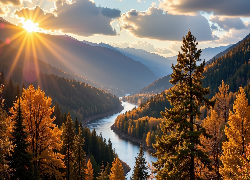 Jesień, Zalesione, Góry, Rzeka, Promienie słońca, Żółte, Drzewa