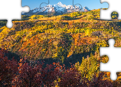 Stany Zjednoczone, Kolorado, Telluride, Jesień, Góry, San Juan Mountains, Roślinność, Lasy