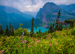 Park Narodowy Glacier, Montana, Stany Zjednoczone, Drzewa, Góry, Jezioro, Grinnell Lake, Łąka, Rośliny, Chmury