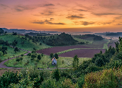 Drzewa, Kapliczka, Pola, Wzgórze