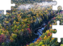 Stany Zjednoczone, Stan Michigan, Hrabstwo Ontonagon, Rzeka Carp River, Jesień, Las, Drzewa, Rzeka, Mgła