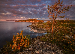 Rosja, Karelia, Jezioro, Ładoga, Jesień, Drzewa, Roślinność, Skały
