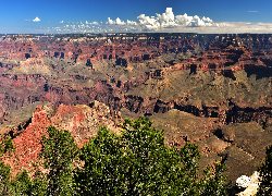 Stany Zjednoczone, Arizona, Park Narodowy Wielkiego Kanionu, Grand Canyon National Park, Kanion, Góry, Skały, Drzewa
