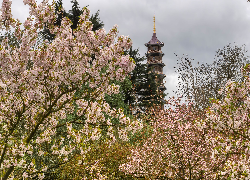 Pagoda, Wieża, Drzewa, Kwiaty, Wiosna