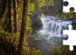 Las, Drzewa, Rzeka, Lewis River, Wodospad, Lower Lewis River Falls, Stan Waszyngton, Stany Zjednoczone