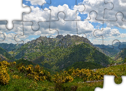 Góry, Dolina, Lasy, Kwitnące, Rośliny, Trawa, Chmury