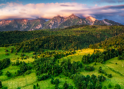 Słowacja, Góry, Tatry, Wzgórze, Lasy, Łąki, Chmury, Poranek