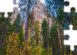 Park Narodowy Yosemite, Góry, Drzewa, Sosny, Stan Kalifornia, Stany Zjednoczone