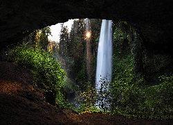 Skały, Jaskinia, Wodospad, Silver Waterfall, Drzewa, Rośliny, Słońce, Oregon, Stany Zjednoczone