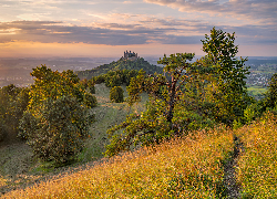 Góry, Góra Hohenzollern, Zamek Hohenzollern, Drzewa, Trawa, Niemcy