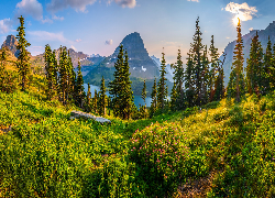 Stany Zjednoczone, Montana, Park Narodowy Glacier, Góry, Jezioro, Saint Mary Lake, Drzewa, Krzewy, Trawa