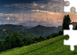 Góry, Drzewa, Łąka, Zielona, Trawa