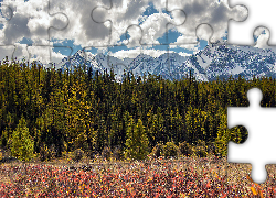 Drzewa, Las, Ośnieżone, Góry, Niebo, Chmury, Jesień