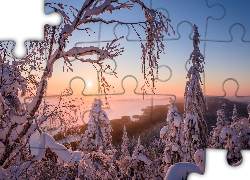 Finlandia, Region Karelia Północna, Park Narodowy Koli, Jezioro Pielinen, Zima, Drzewa, Promienie słońca, Mgła