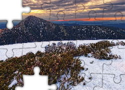 Wschód słońca, Góry, Karkonosze, Góra Śnieżka, Ośnieżone, Rośliny, Śnieg, Zima