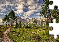 Ścieżka, Drzewa, Góry