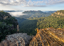 Australia, Nowa Południowa Walia, Dolina, Jamison Valley, Tarpeian Rock, Góry Błękitne, Skały, Lasy, Mgła, Poranek