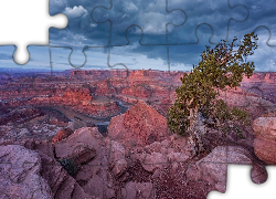 Rzeka Kolorado, Skały, Drzewo, Park stanowy Dead Horse Point, Stan Utah, Stany Zjednoczone