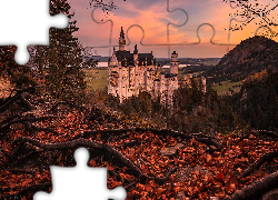 Niemcy, Bawaria, Zamek Neuschwanstein, Drzewa, Jesień, Wzgórza, Korzenie, Liście