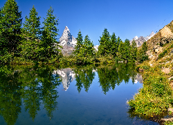 Szwajcaria, Góry, Alpy, Szczyt, Matterhorn, Jezioro, Riffelsee, Drzewa