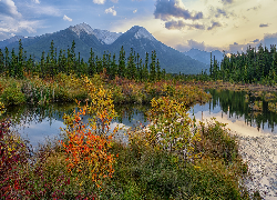 Kanada, Alberta, Park Narodowy Banff, Góry, Jezioro, Vermilion Lake, Drzewa, Jesień
