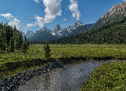 Drzewa, Wzgórza, Potok, Góry