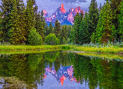 Stany Zjednoczone, Wyoming, Park Narodowy Grand Teton, Góry, Drzewa, Świerki, Rzeka, Odbicie