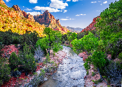 Park Narodowy Zion, Góry, Góra Watchman, Rzeka, Virgin River, Drzewa, Stan Utah, Stany Zjednoczone